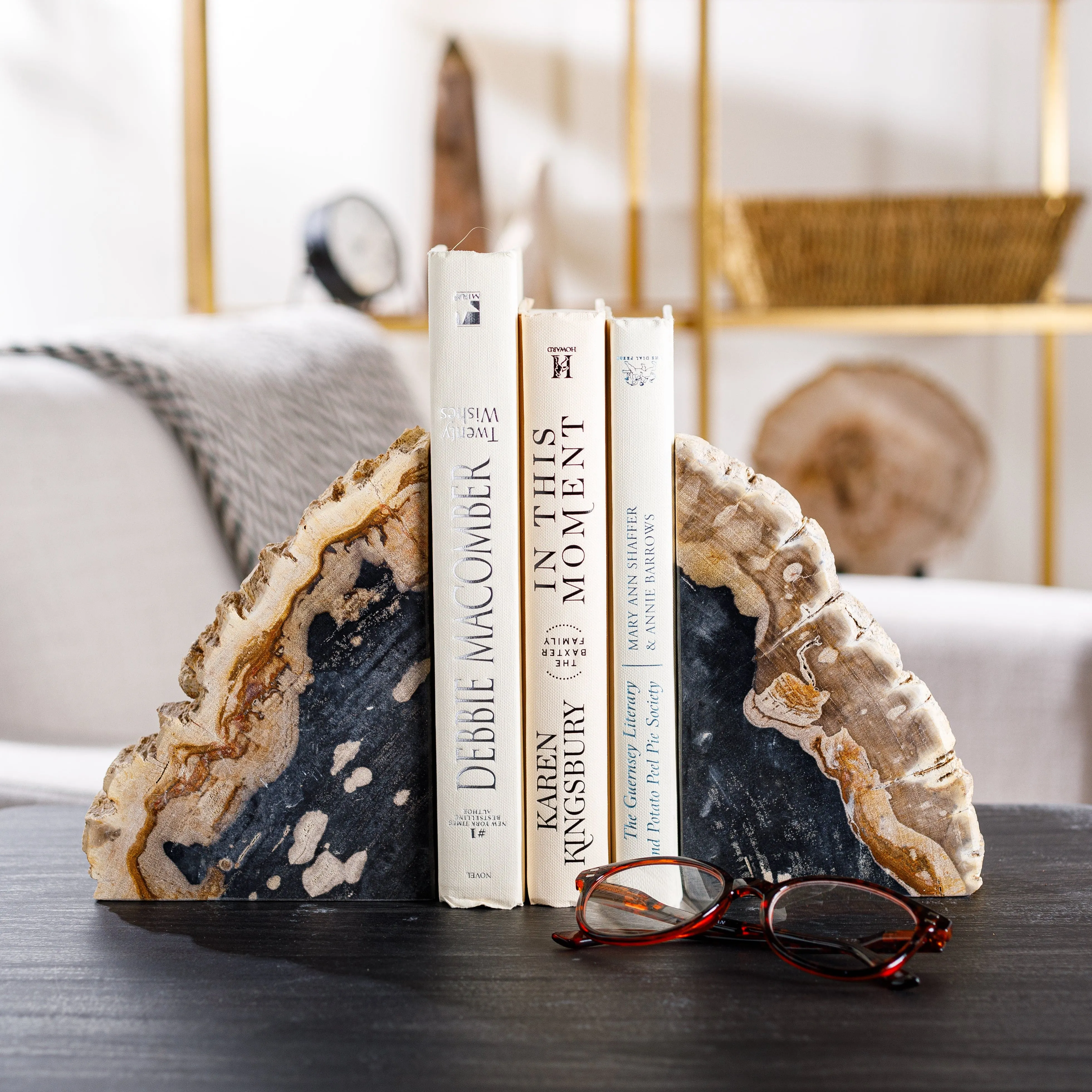 10 Black Petrified Wood Bookend Pair