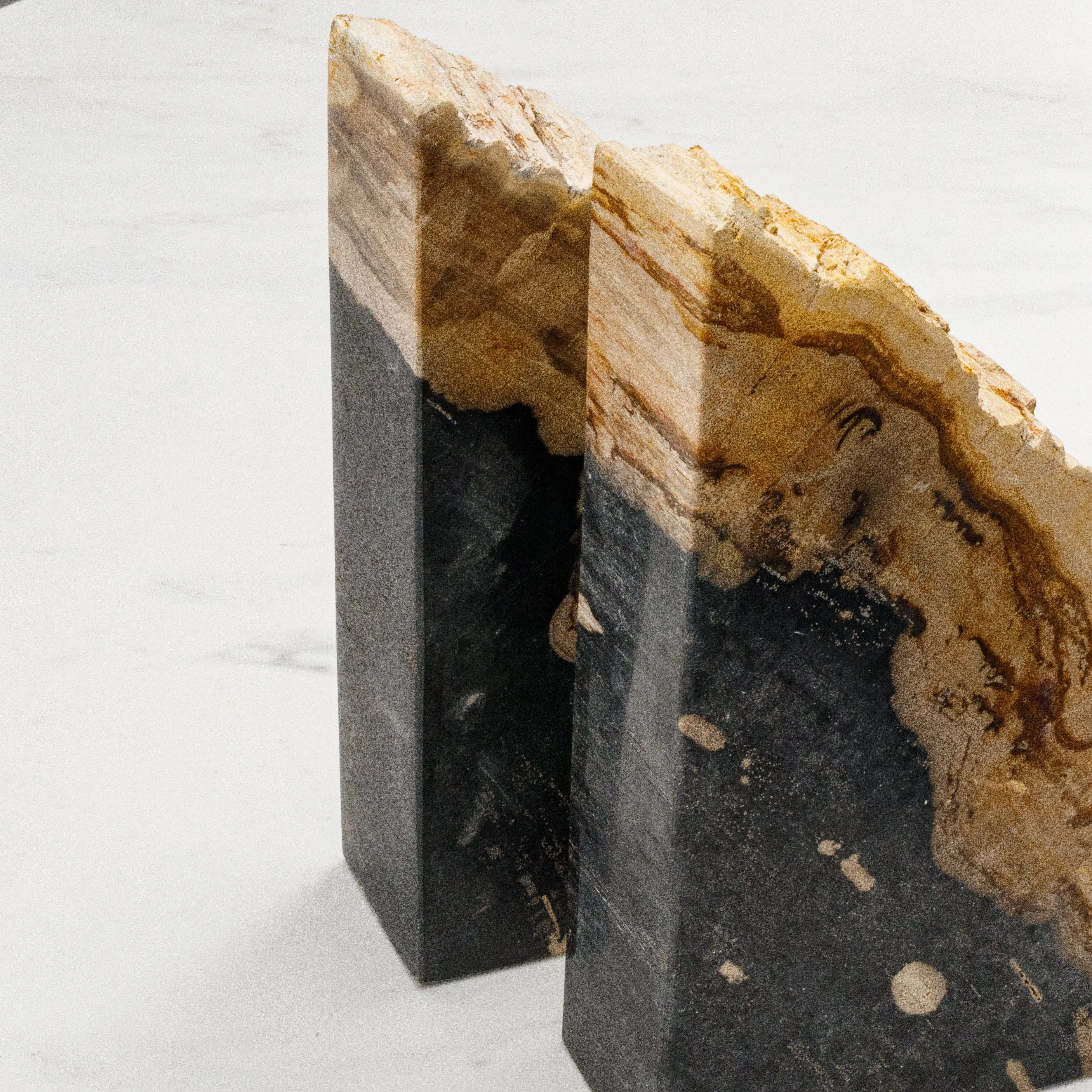 10 Black Petrified Wood Bookend Pair