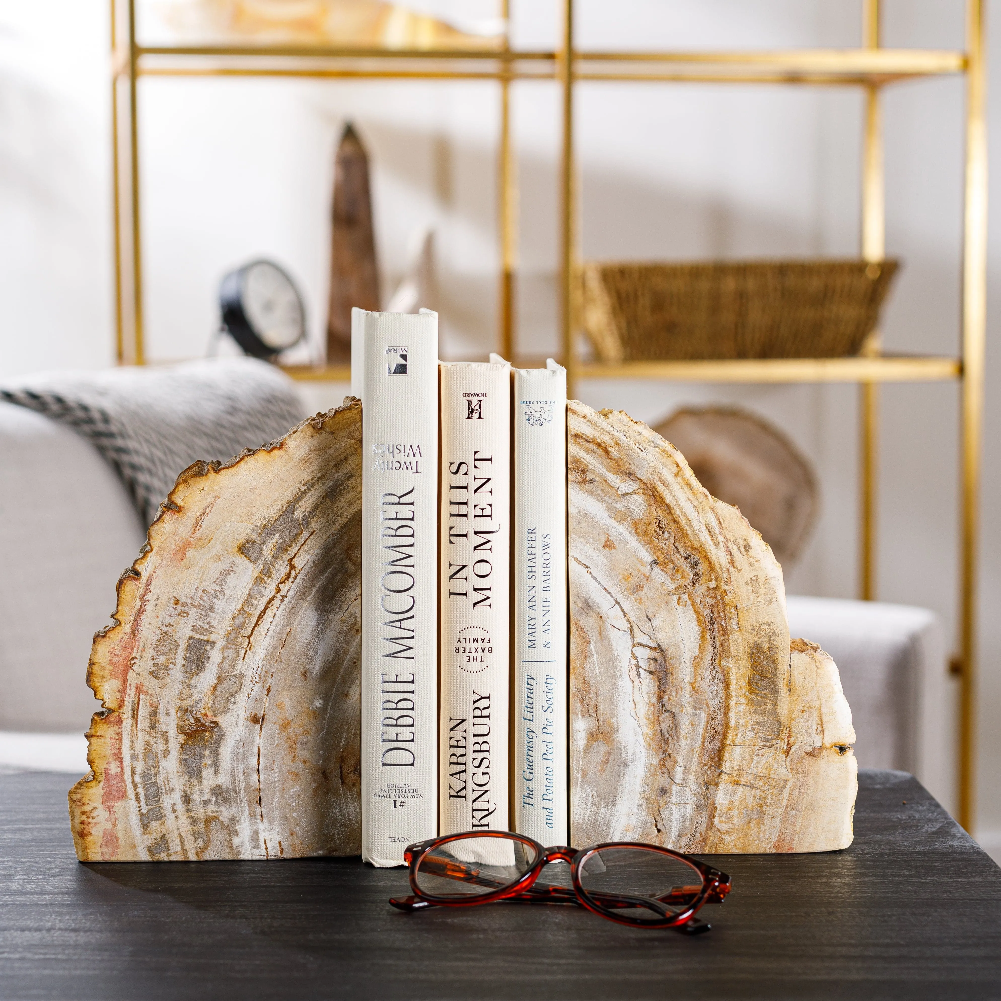 10 Brown Petrified Wood Bookend Pair