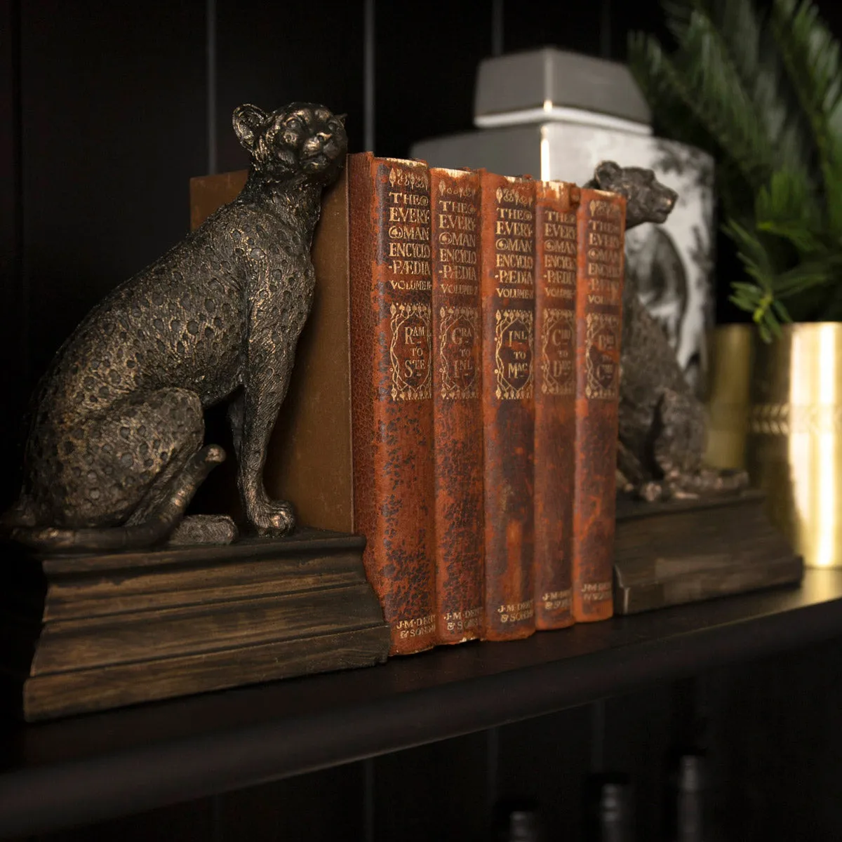 Cheetah Bookends