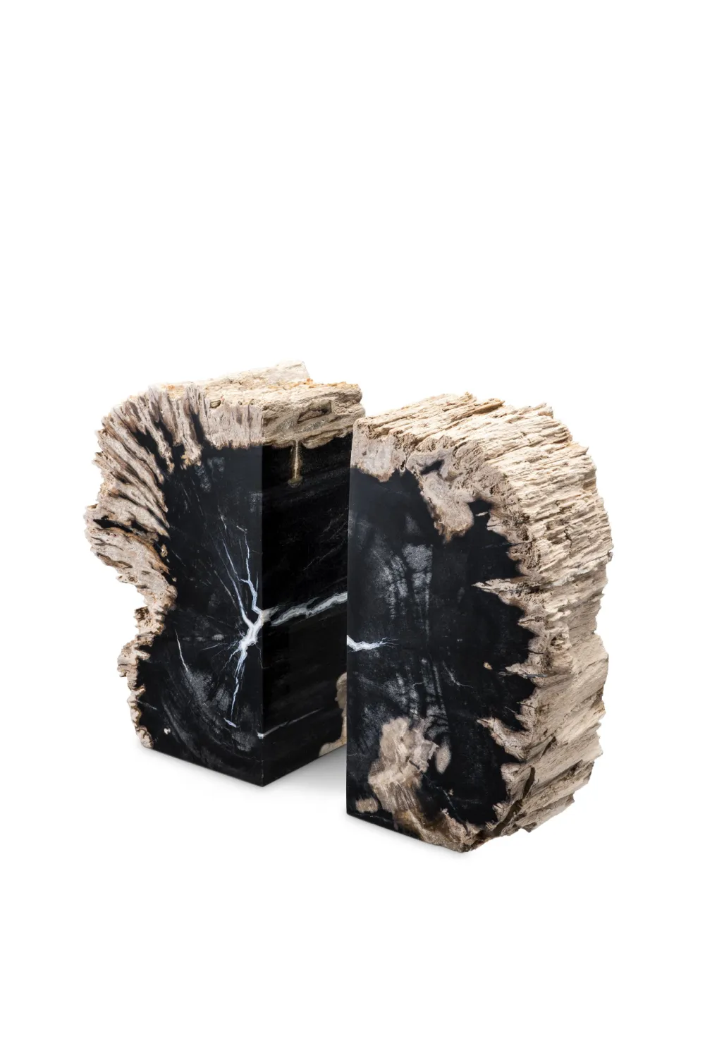 Petrified Wood Bookend (Set of 2) | Eichholtz Opia