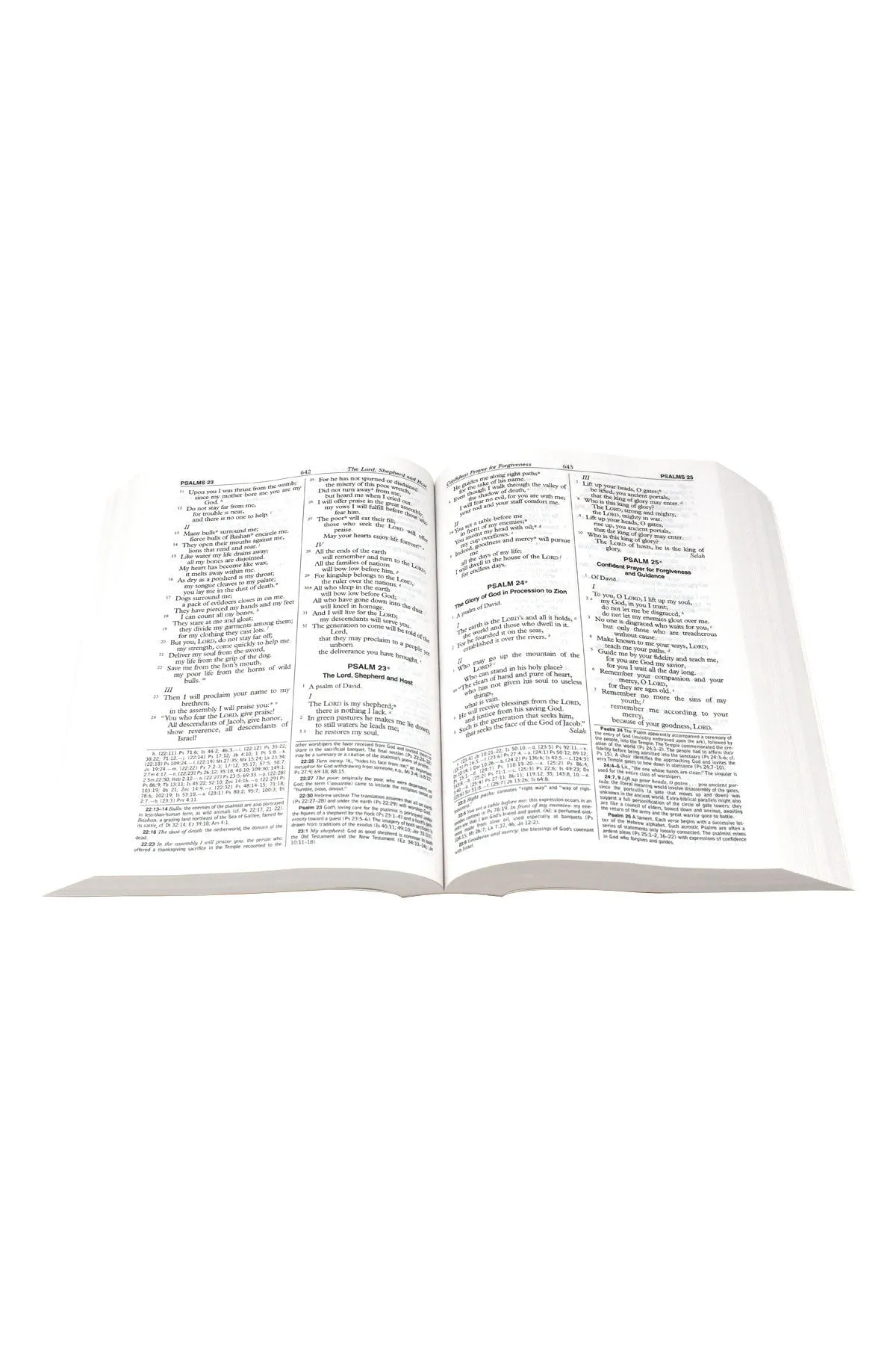 St. Joseph New American Bible  - GF61104