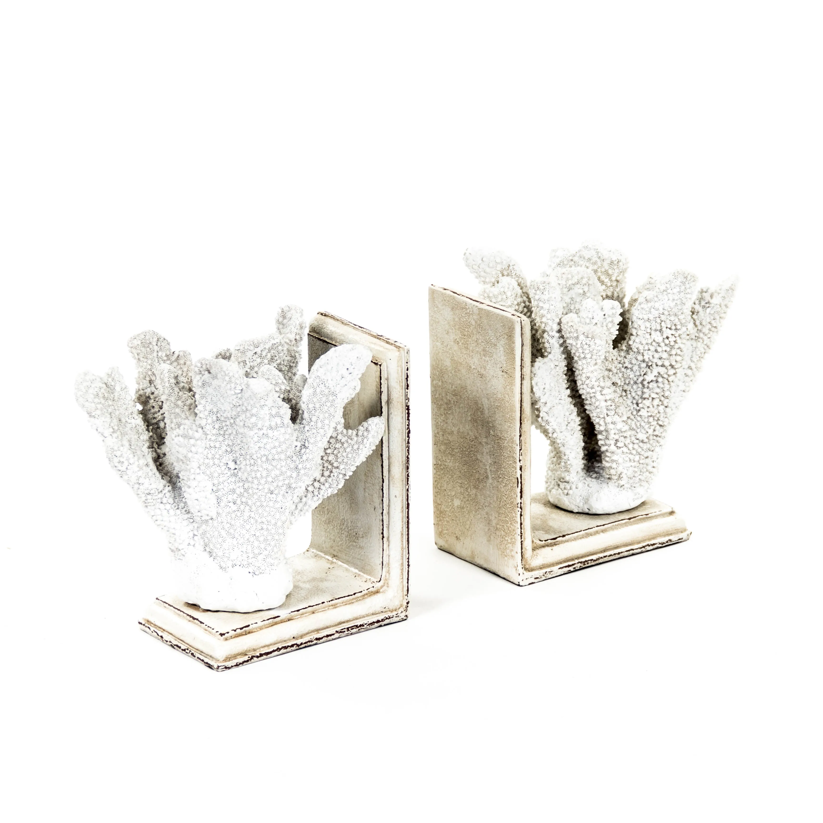 White Coral Bookends by Zentique